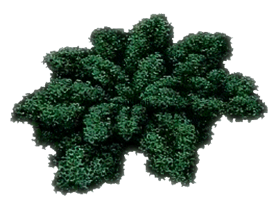  aktuell 