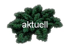  aktuell 