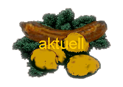 aktuell 
