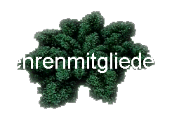  ehrenmitglieder 
